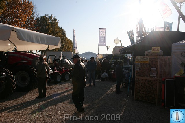 In prà della Antica Fiera di Arsego (52).JPG